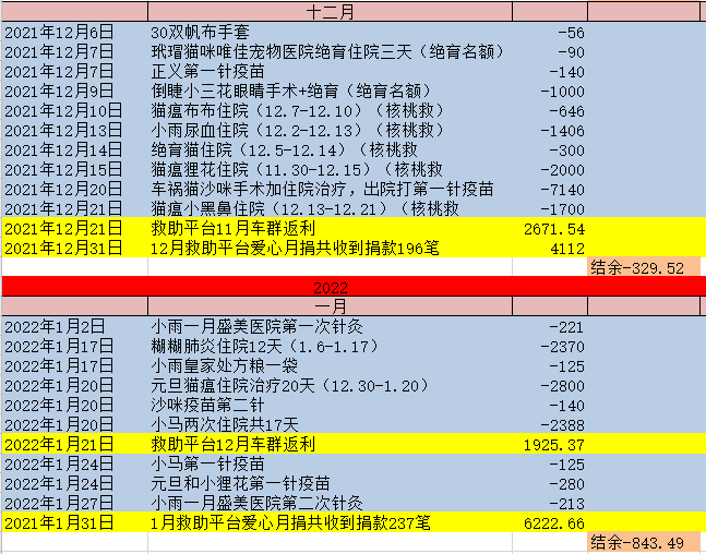 2024开奖记录开奖结果查询,德州流浪宠物救助中心_新手版6.239