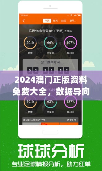 新澳门王中王100%期期中,稳定计划评估_HarmonyOS60.765