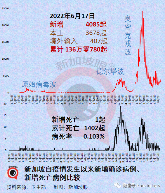 2024年11月新冠高峰,快速解答策略实施_领航款56.512