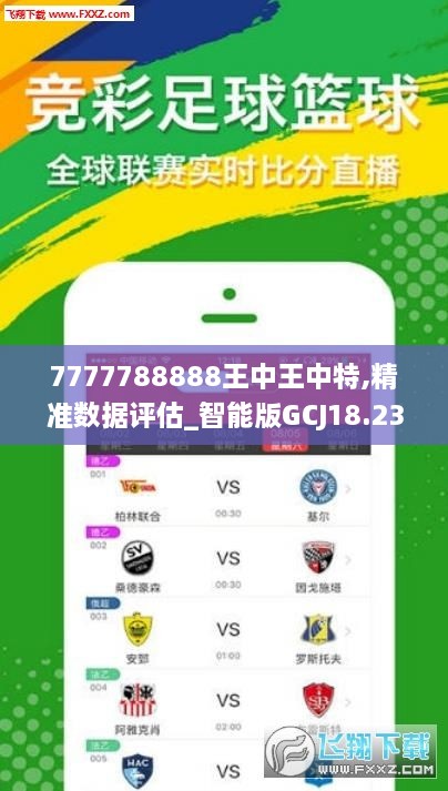 7777788888王中王中特,实地分析解析说明_pack37.139