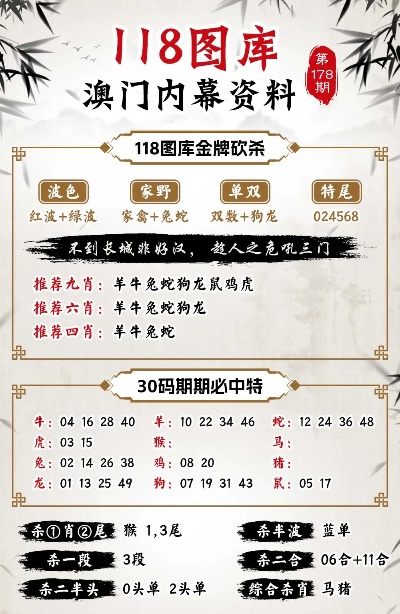 澳门精准王中王免费公开,深入执行方案设计_潮流版55.513