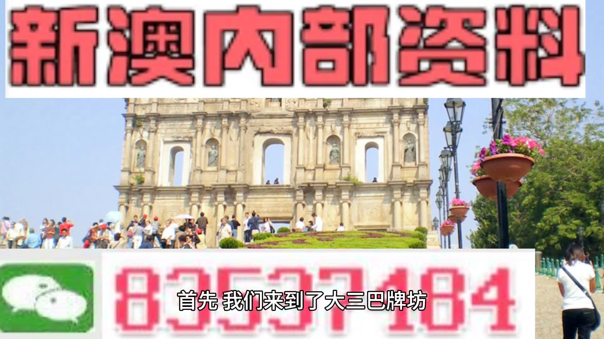 2024新澳门天天彩期期精准,现状解答解释定义_静态版15.941