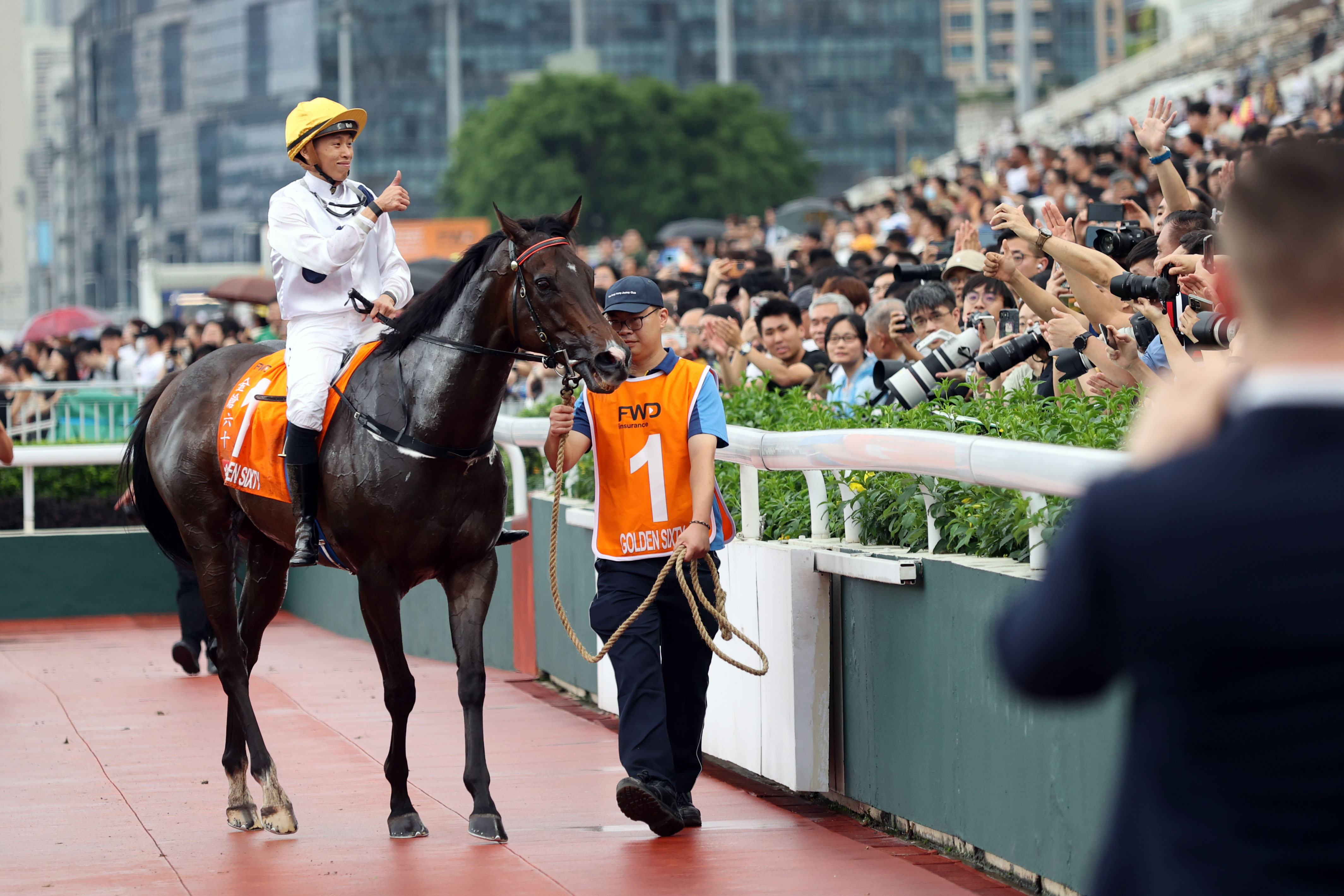 2024香港赛马全年免费资料,前沿评估解析_顶级款16.339