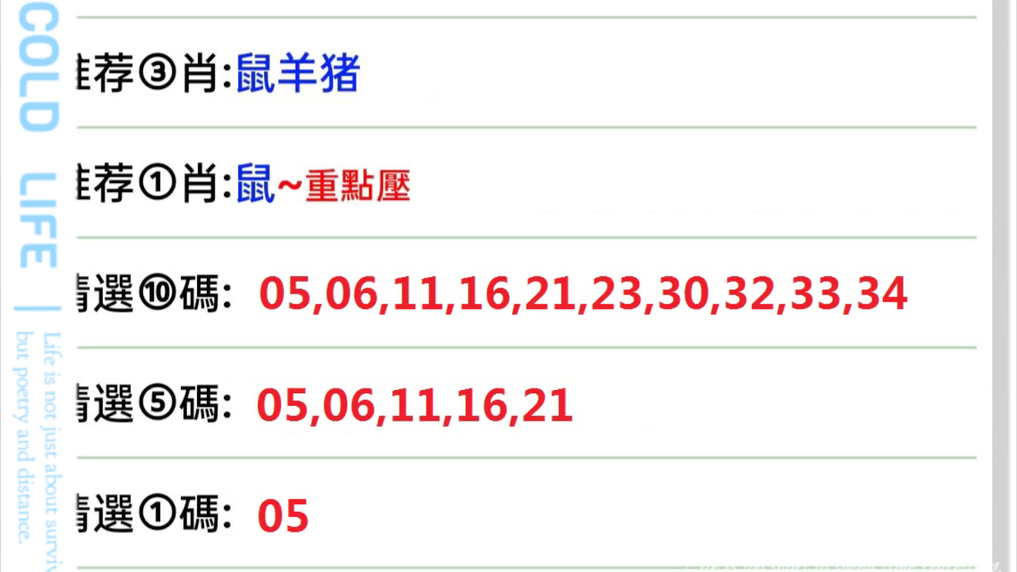 2024年12月11日 第81页