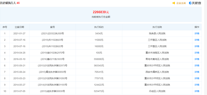 正版资料免费资料大全十点半,数据支持执行方案_领航版49.900