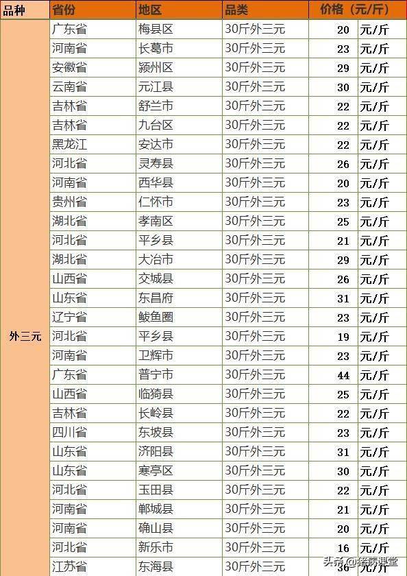 2024年12月18日 第51页