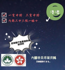 大三巴最准的一肖一码,深层设计解析策略_uShop39.925