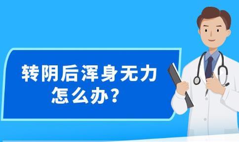 新澳精准资料免费提供221期,精准分析实施_精装款31.763