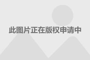 2024年香港正版资料免费大全图片,数据驱动决策执行_DX版72.493