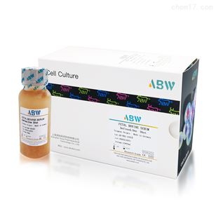 ABW最新动态，引领行业变革，新征程启航