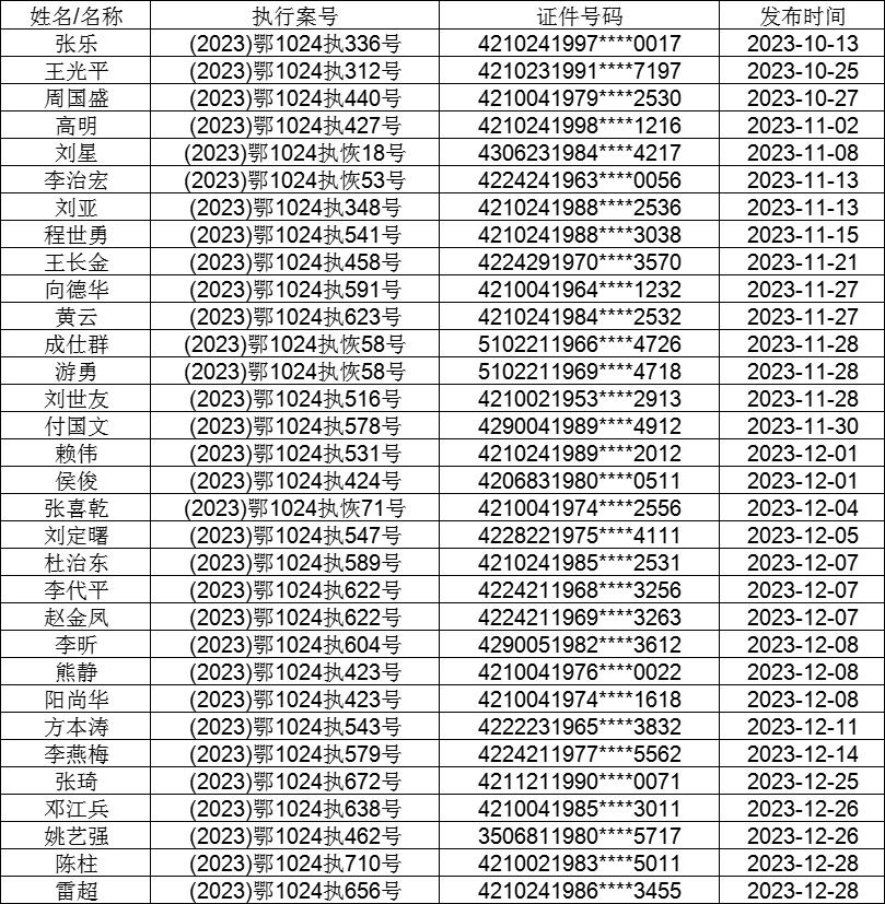 2024年12月21日 第24页