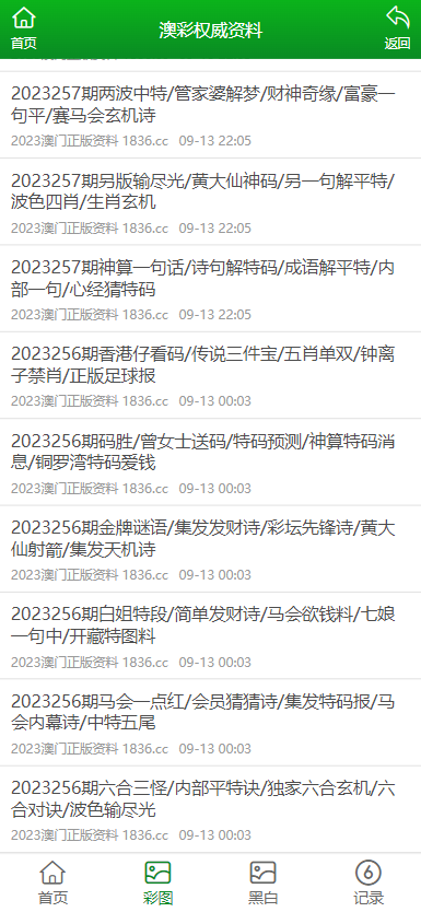 2024年澳门免费公开资料,定制化执行方案分析_经典版14.482