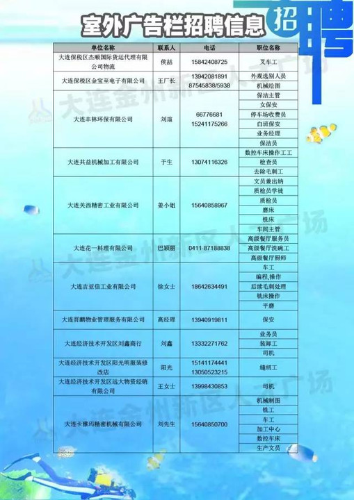 大连市招聘网最新招聘动态深度解读与分析