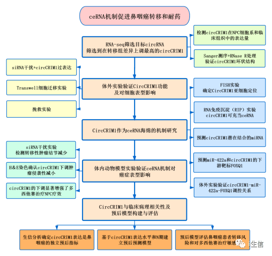 资料大全正版资料免费,结构化推进评估_HT59.243