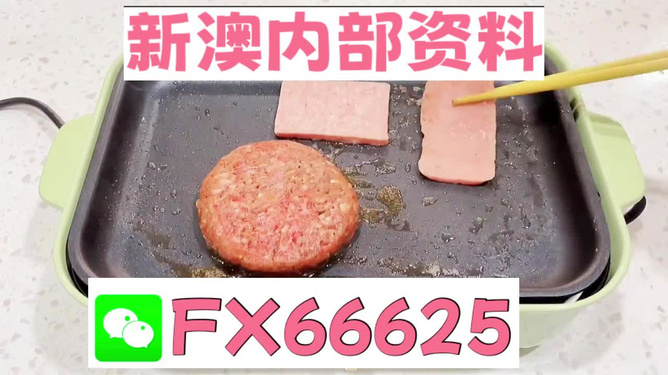 澳门一码一码100准确河南,动态解析说明_10DM42.633