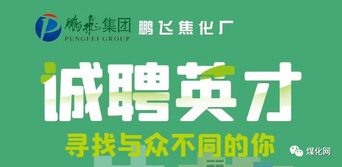 煤化工招聘最新动态与行业趋势深度解析