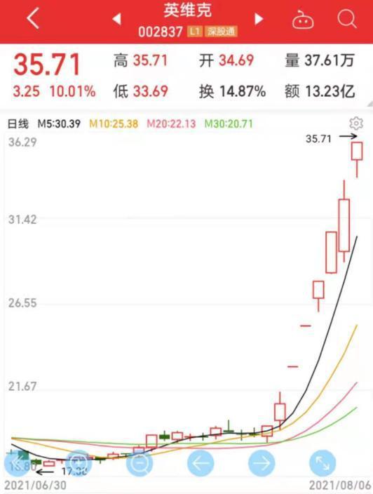 牛散持股现象深度解析，最新趋势与策略观察