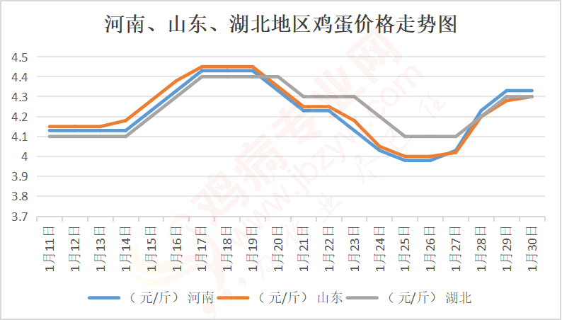 鸡蛋期货最新行情解析