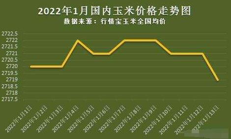 玉米价格最新行情走势解析