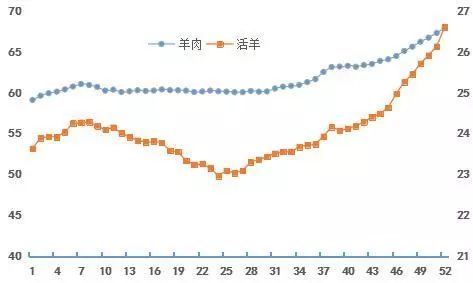 最新活羊價格走勢解析及預測報告