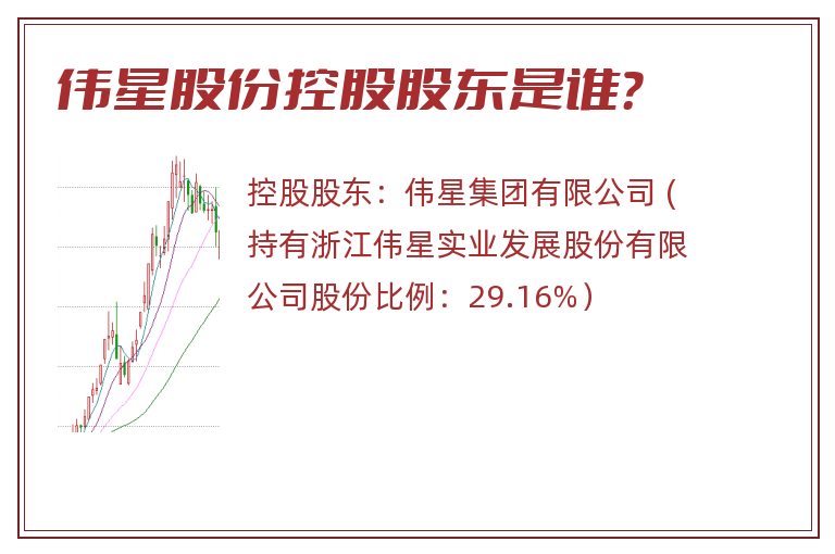 偉星股份最新消息全面解讀與分析