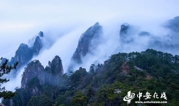 黃山旅游新動(dòng)態(tài)與獨(dú)特魅力揭秘，最新新聞報(bào)道