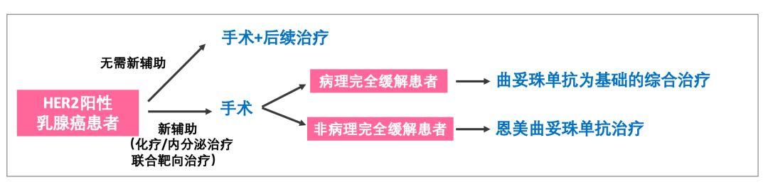 TDM1价格动态更新，市场走势与影响因素深度解析