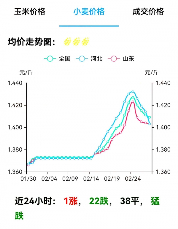 河北省小麦最新价格动态解析