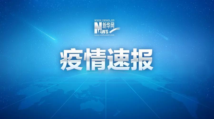 全球新冠疫情最新动态，进展、挑战与新消息