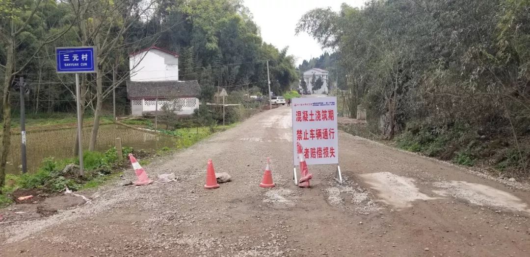 安岳岳林路最新動態(tài)深度剖析