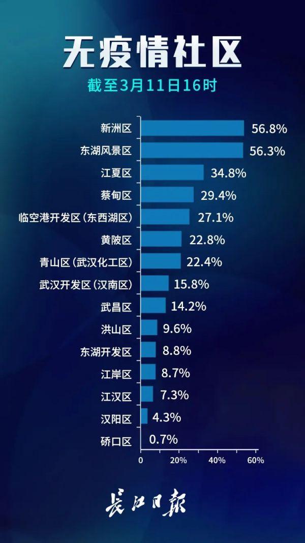 武肺最新?tīng)顩r全面解析與深度探討報(bào)告