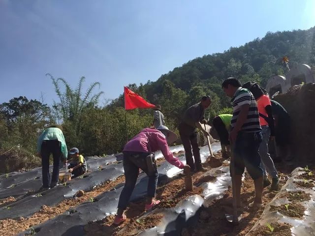 文團(tuán)公路進(jìn)展及未來(lái)前景展望