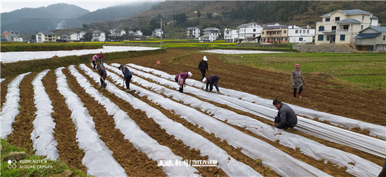 綏陽青杠塘最新動態(tài)，發(fā)展與變化的深度探索