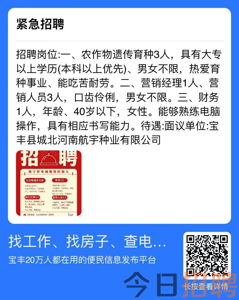 寶豐最新招聘動態(tài)，探尋人才，攜手共鑄未來