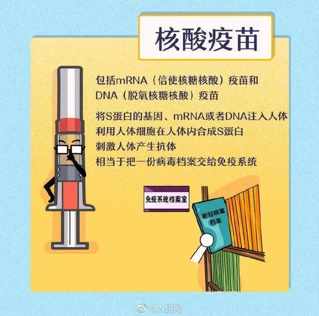 迎接新季节，揭秘11月最新疫苗进展及其重要性