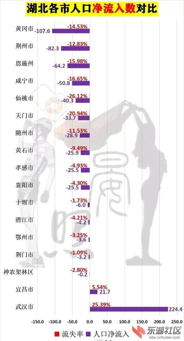 湖北省最新人口数量概况概览