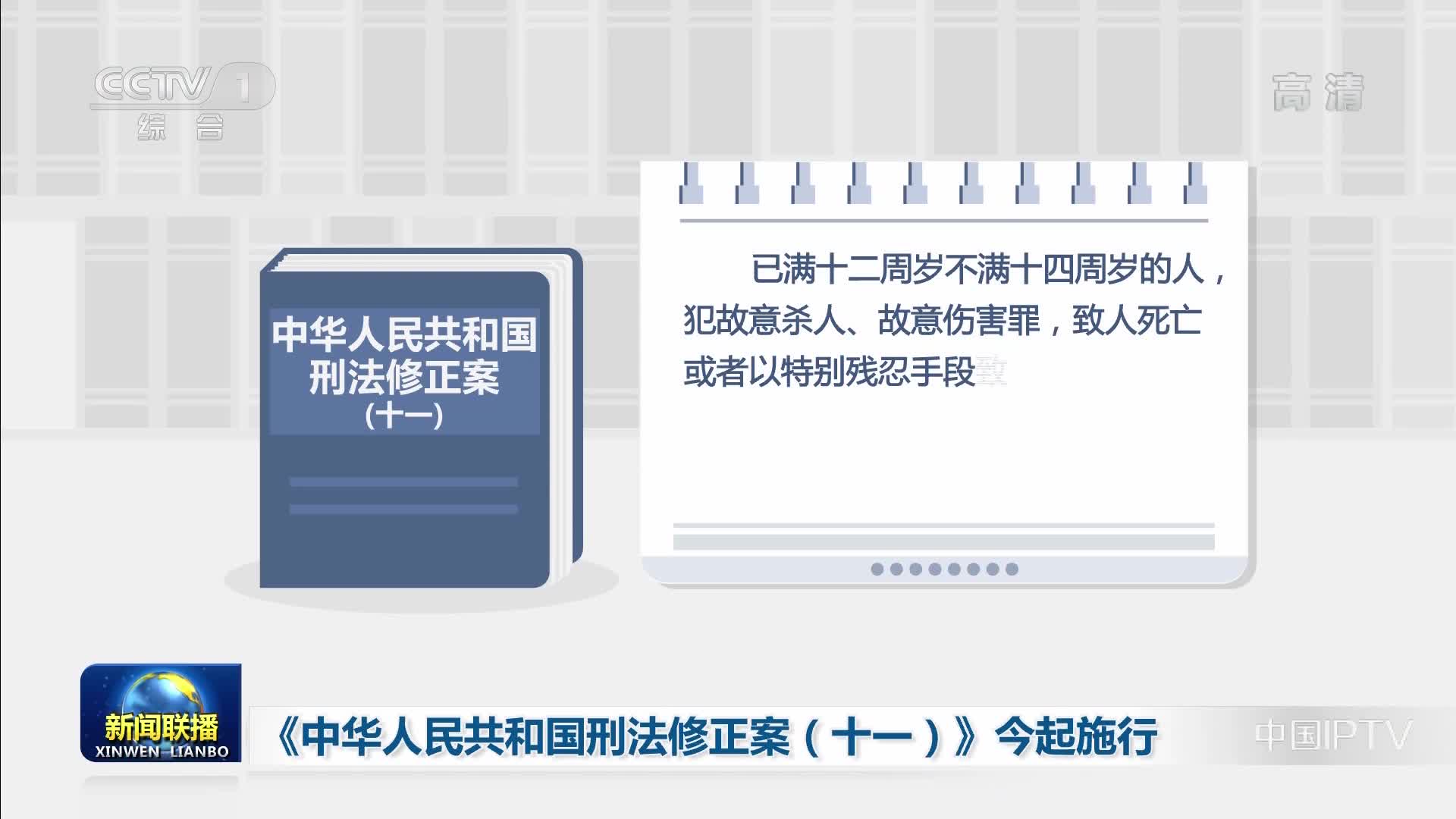 最新刑法十，重塑法治社会里程碑