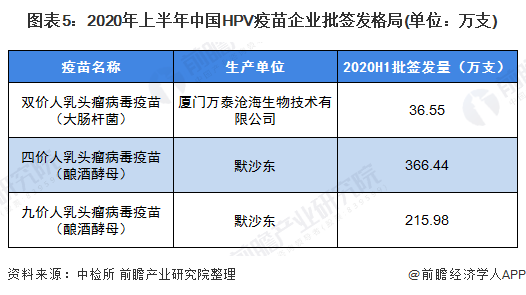 最新疫苗进展揭示突破与创新的力量