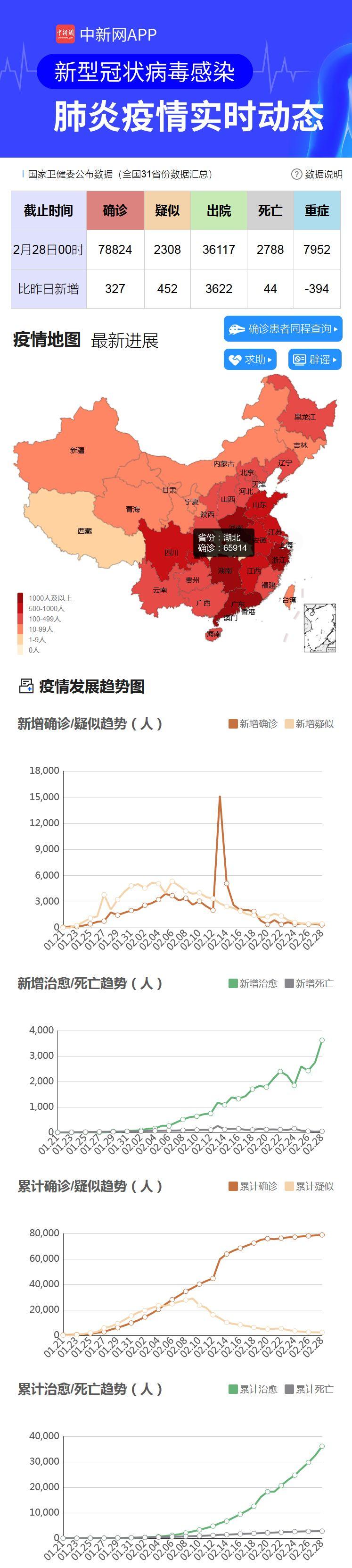 全球疫情最新动向，深度分析与应对策略