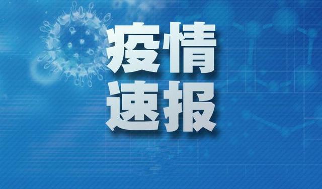 全球最新肺炎疫情动态及应对策略发布