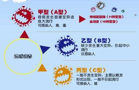 最新流感，影响解析与应对策略指南