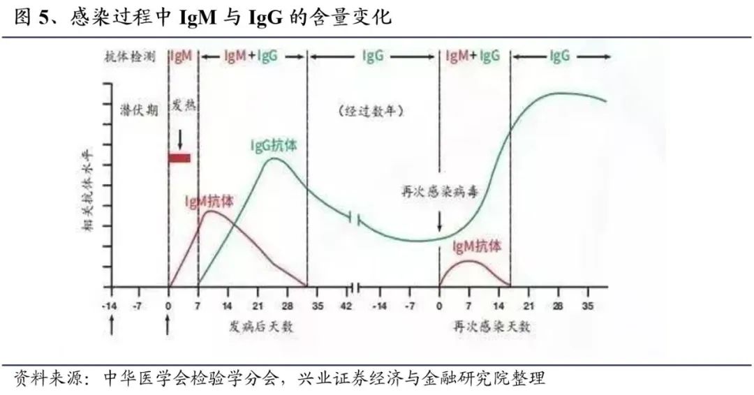 全球最新肺炎分析，现状观察与未来展望