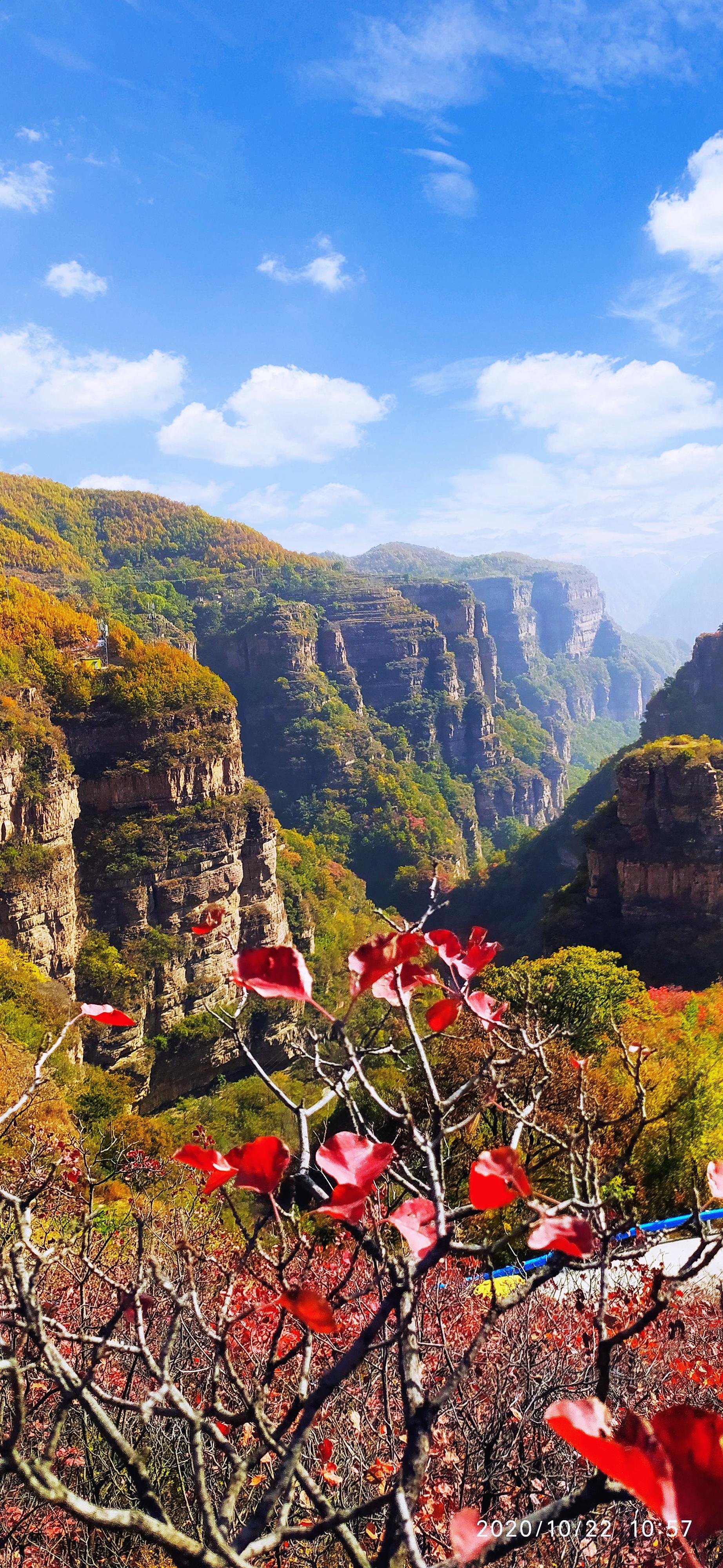 最新红叶图片，探寻美丽世界的探索之旅