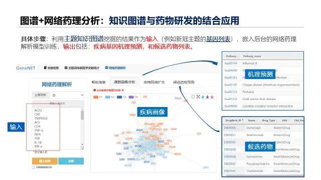 新澳最新版精准特,特别是在数据分析、市场预测和决策支持等领域