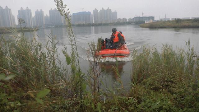 全球反恐最新动态，形势分析与应对策略揭秘