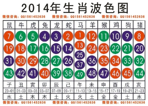 2024十二生肖49码表,案例分析：生肖与数字的实际应用