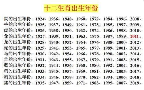 十二生肖49码表,本文将深入探讨这一神秘表的由来、含义及其在现代社会中的应用