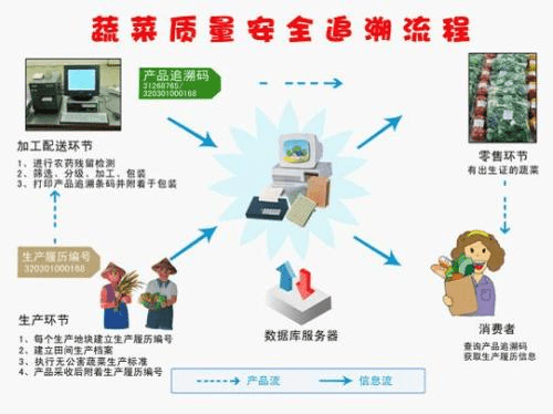 新奥天天免费资料大全正版优势,我们将详细分析其优势所在