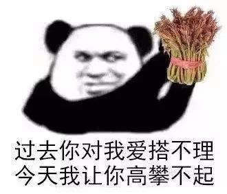 富佬的现代成功之路探索新面貌