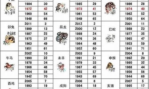 12生肖图片码数49个数,新人会选择一个与自己生肖对应的数字作为结婚纪念日